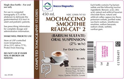 Readi-Cat 2 Mochaccino Smoothie Internal Label.jpg Readi Cat 2 Mochaccino Smoothie Internal Label